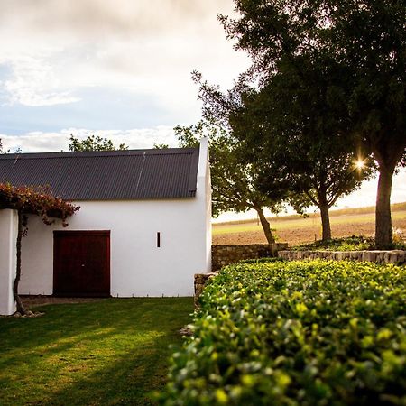 Vineyard Cottage At Bosman Wines Wellington Bagian luar foto