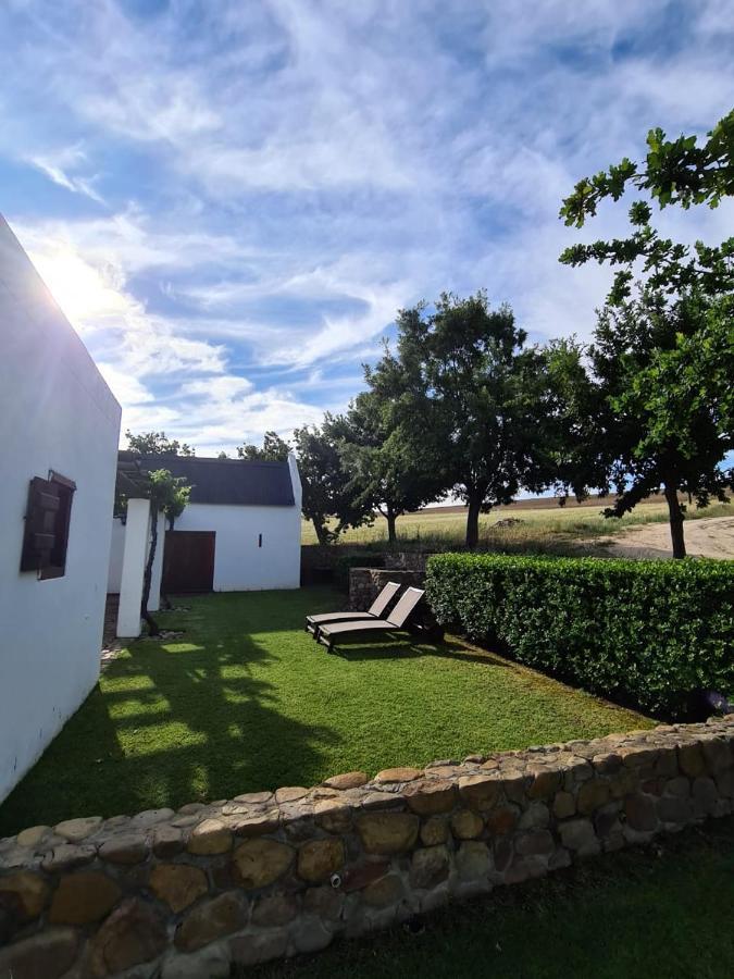 Vineyard Cottage At Bosman Wines Wellington Bagian luar foto
