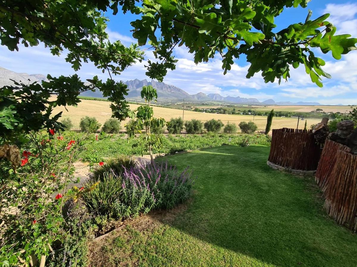 Vineyard Cottage At Bosman Wines Wellington Bagian luar foto