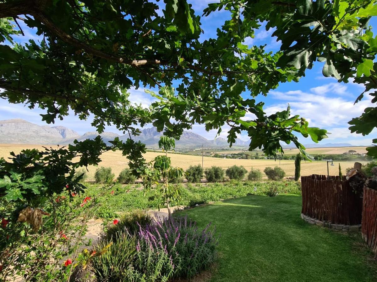 Vineyard Cottage At Bosman Wines Wellington Bagian luar foto