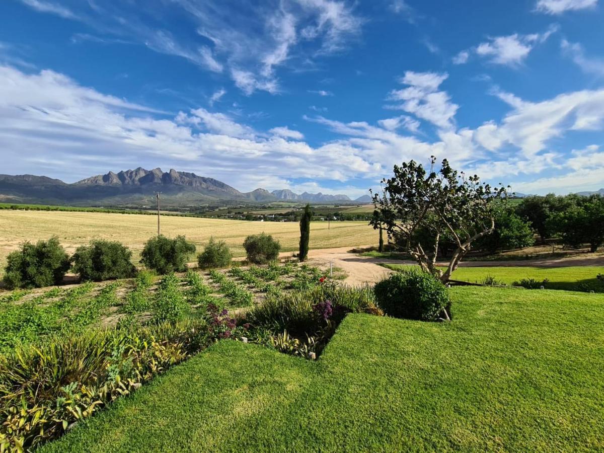 Vineyard Cottage At Bosman Wines Wellington Bagian luar foto