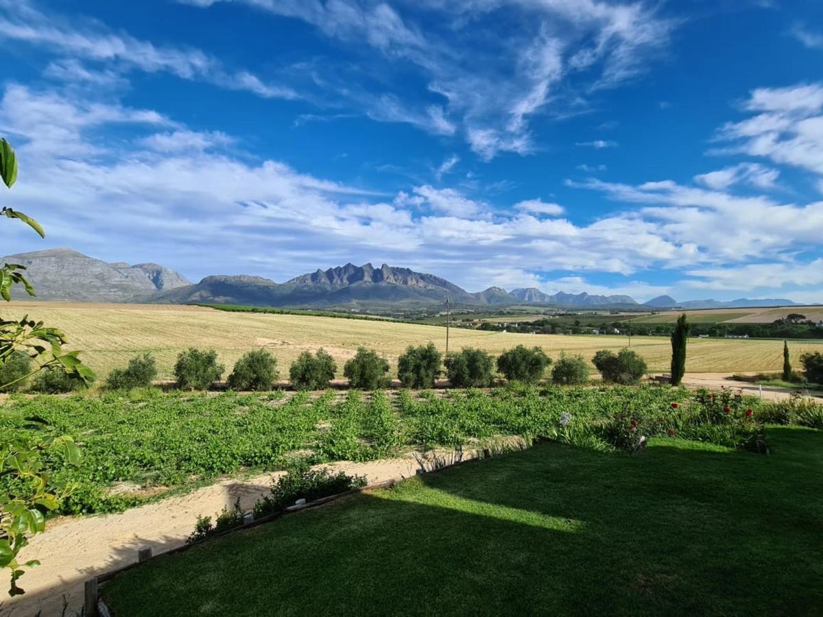 Vineyard Cottage At Bosman Wines Wellington Bagian luar foto