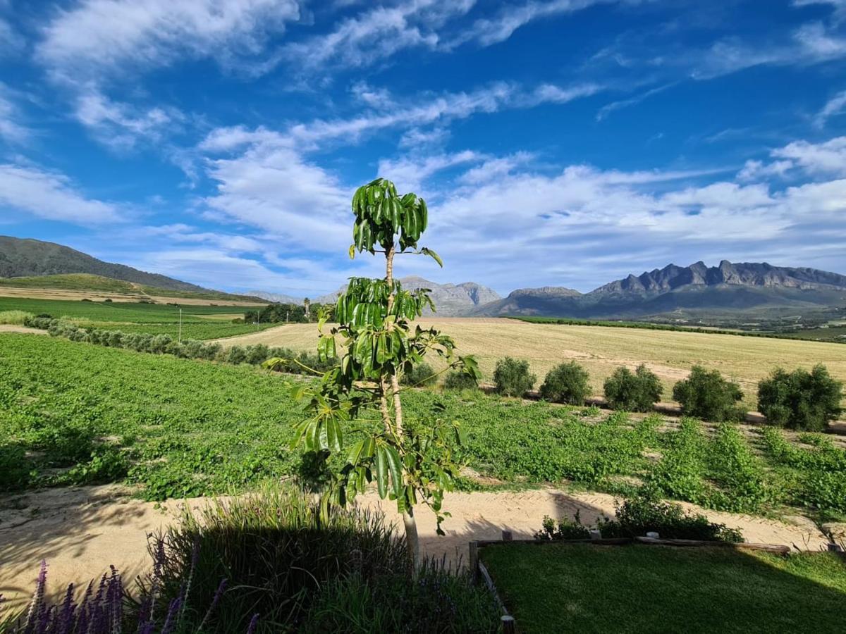 Vineyard Cottage At Bosman Wines Wellington Bagian luar foto