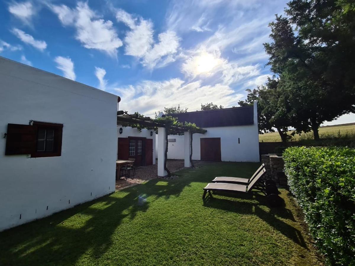 Vineyard Cottage At Bosman Wines Wellington Bagian luar foto
