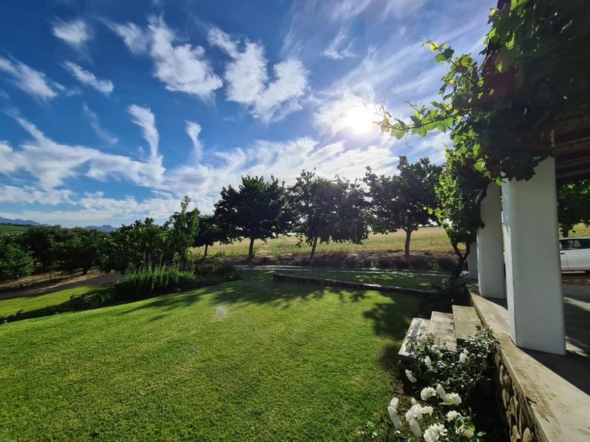 Vineyard Cottage At Bosman Wines Wellington Bagian luar foto