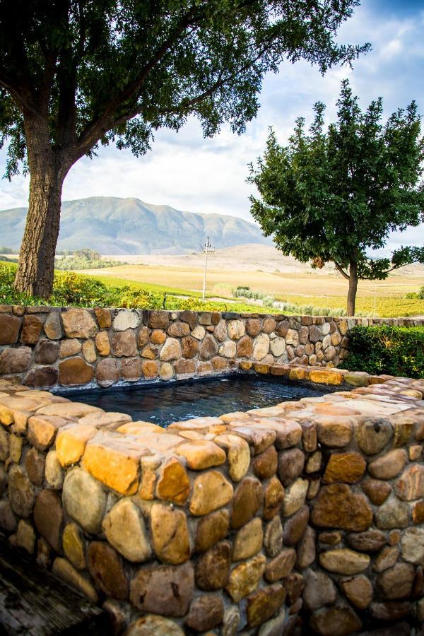 Vineyard Cottage At Bosman Wines Wellington Bagian luar foto