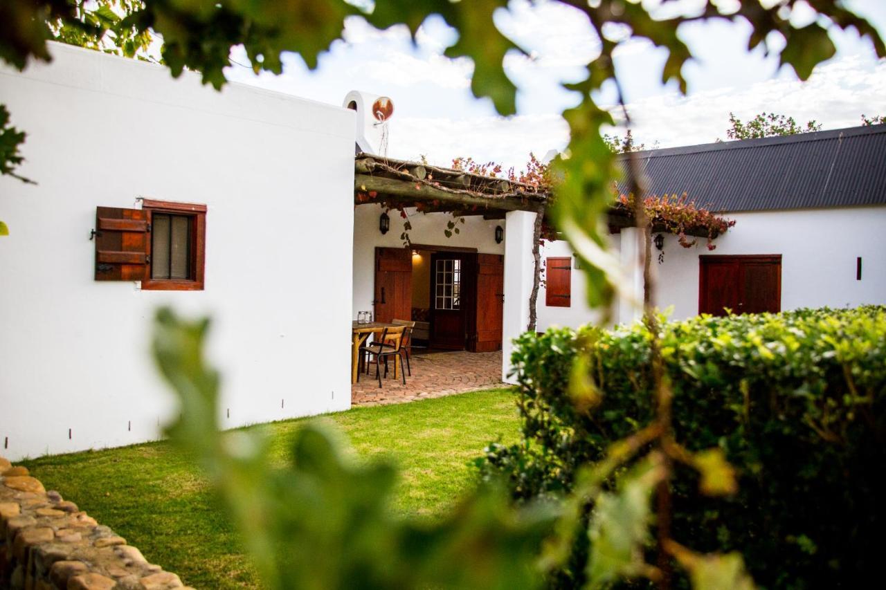 Vineyard Cottage At Bosman Wines Wellington Bagian luar foto