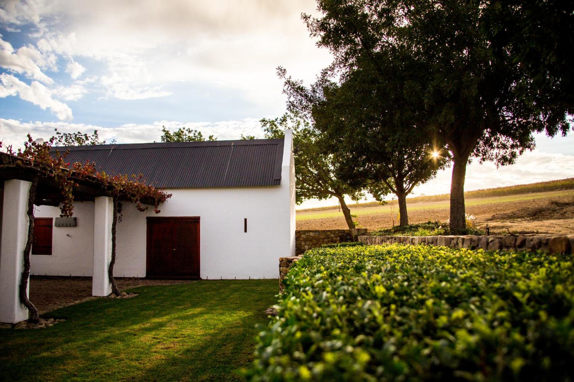 Vineyard Cottage At Bosman Wines Wellington Bagian luar foto