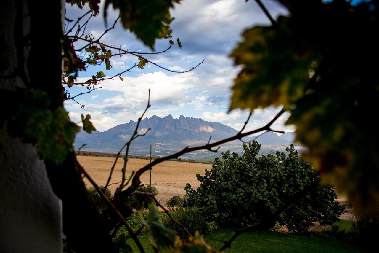 Vineyard Cottage At Bosman Wines Wellington Bagian luar foto