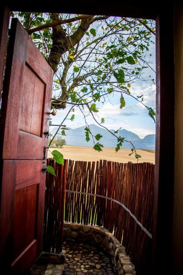 Vineyard Cottage At Bosman Wines Wellington Bagian luar foto