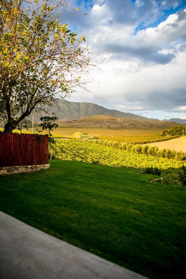 Vineyard Cottage At Bosman Wines Wellington Bagian luar foto